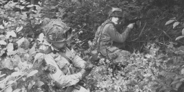 NAGAWKI - czerwiec 2008