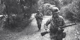 NAGAWKI - czerwiec 2008