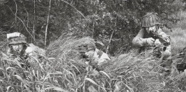 NAGAWKI - czerwiec 2008