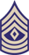 First Sergeant (1st. SG)